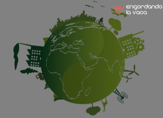La huella ecológica: una estrategia empresarial en competitividad